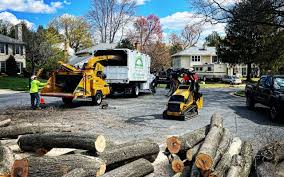 Leaf Removal in Pine City, MN